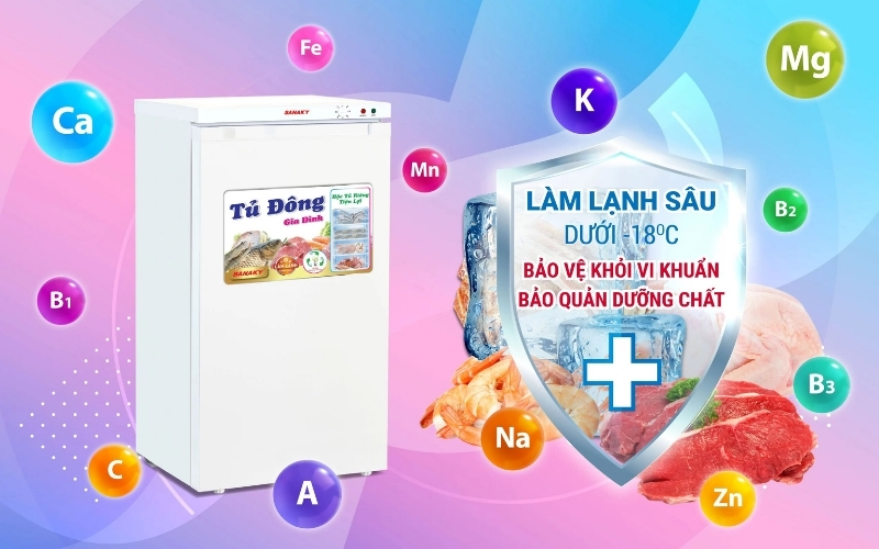 Tủ Đông Đứng Sanaky VH-160VD 160 lít