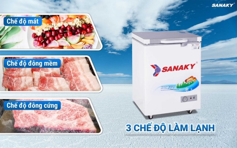 Tủ Đông Sanaky VH-1599HYKD 150 lít 