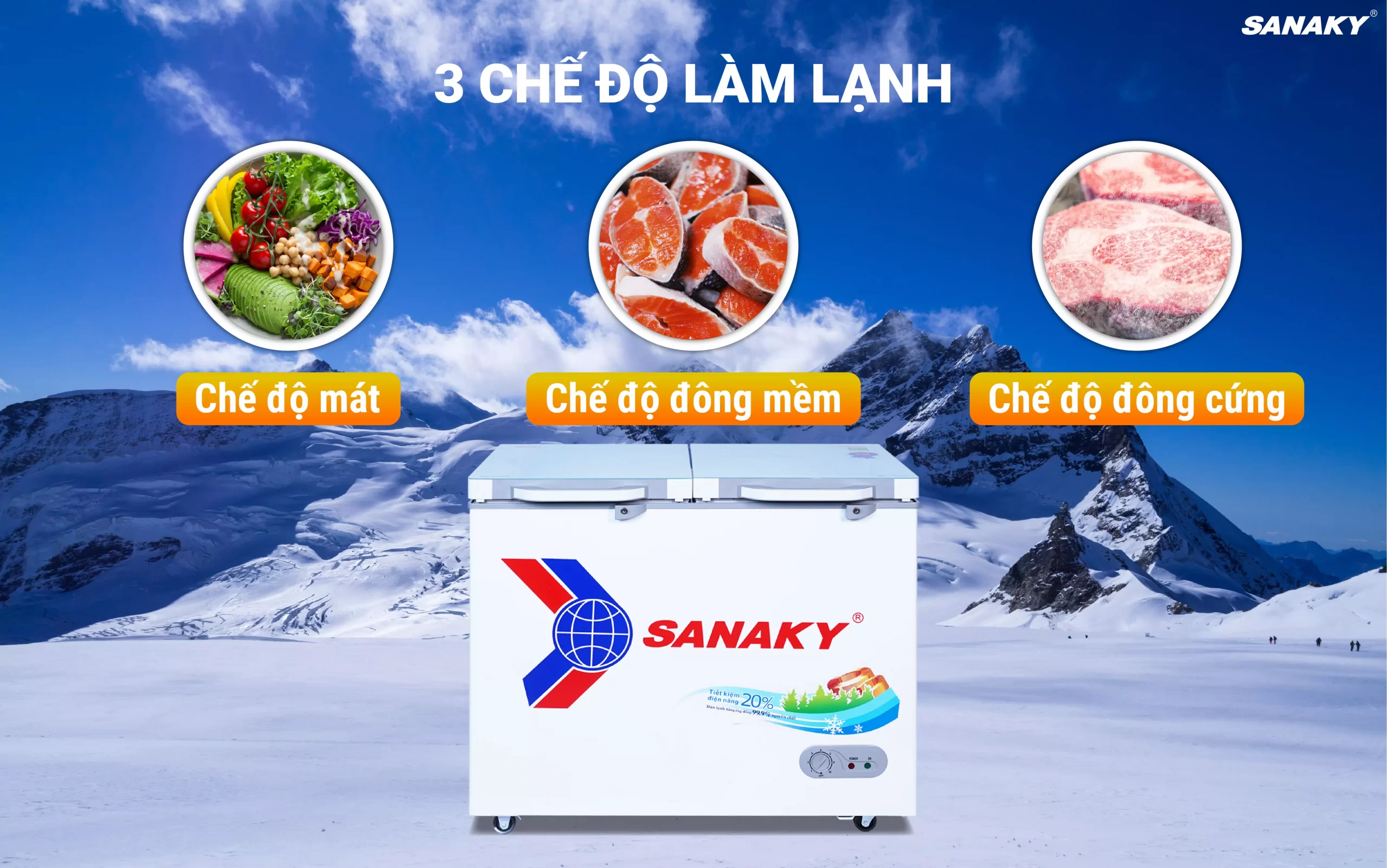 Tủ Đông Sanaky VH-2899A2KD